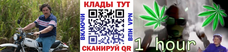 Купить наркотики цена Пикалёво Бошки Шишки  mega ONION  СК  Гашиш  МЕФ 