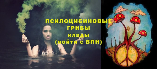 дживик Алзамай