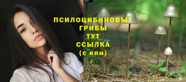 2c-b Алексин