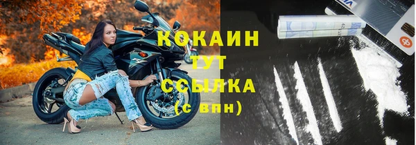 дживик Алзамай