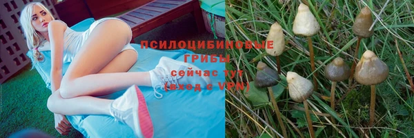 2c-b Алексин