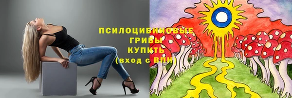 дживик Алзамай