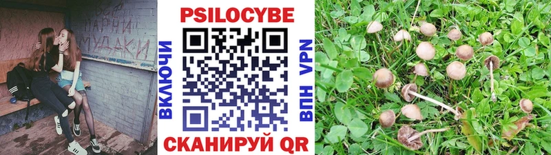 Псилоцибиновые грибы MAGIC MUSHROOMS  где можно купить   Пикалёво 